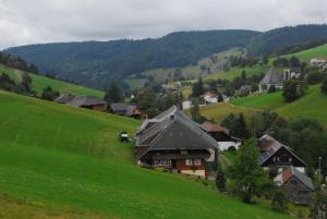 ein Dorf auf einem Hügel mit grünen Hügeln und Bäumen in der Unterkunft Drei Tannen und Ferienhaus Schneider in Todtnau