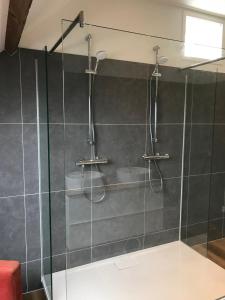 een badkamer met een glazen douche en een wastafel bij Vijverhoef in Ulicoten