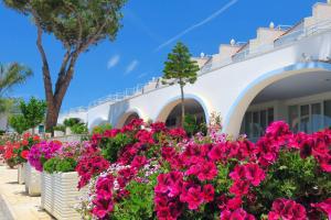 a garden of flowers in front of a house at Hotel Ferretti in Diamante +78 photos
