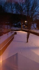 ein schneebedeckter Park mit einem Baum in der Unterkunft Pension Sommerfrische in Ehrenfriedersdorf