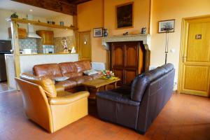 a living room with leather furniture and a fireplace at Gîte des Grands Narreaux in Bourbon-Lancy