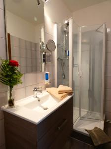 a bathroom with a sink and a shower at Schlossgartenpassage in Ohrdruf