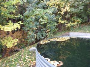 una piscina de agua en un patio con árboles en Cabañas Las Lavandas en El Bolsón