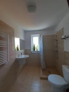 ein Badezimmer mit Toilette und Waschbecken in der Unterkunft D.W Nawigator in Ostrowo + 108 Fotos