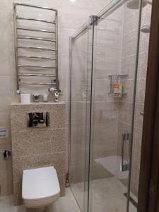 W łazience znajduje się toaleta i przeszklony prysznic. w obiekcie RynOK 25 Deluxe Lviv Center w Lwowie