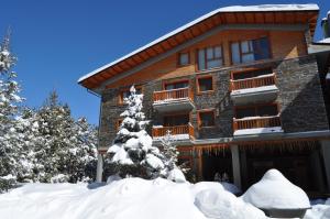 una casa cubierta de nieve con un árbol delante de ella en Apartamentos Solineu en La Molina Alp