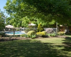 Κήπος έξω από το Mansfield Valley Motor Inn