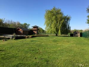 um grande jardim relvado com uma casa e uma árvore em A little paradise Wallonie em Limelette