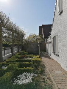 - un jardin avec des fleurs blanches à côté d'un bâtiment dans l'établissement Vakantiewoning De Nachtegaal, à Ostende