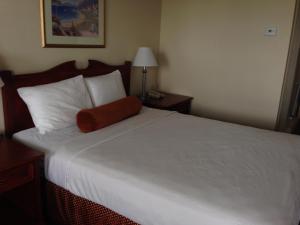 Postel nebo postele na pokoji v ubytování Knights Inn Lethbridge