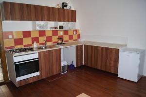 Kuchyň nebo kuchyňský kout v ubytování Apartmán Český ráj