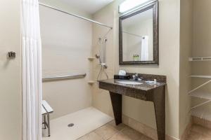 a bathroom with a sink and a shower at Candlewood Suites Harrisburg I-81 Hershey Area, an IHG Hotel in Harrisburg