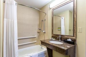 a bathroom with a sink and a tub and a mirror at Candlewood Suites Harrisburg I-81 Hershey Area, an IHG Hotel in Harrisburg