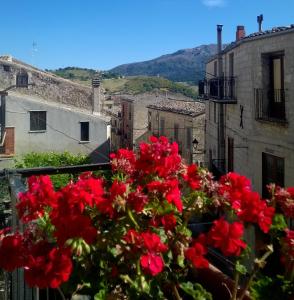 a bunch of red flowers on a balcony at Cas'Antica Soprana in Petralia Soprana