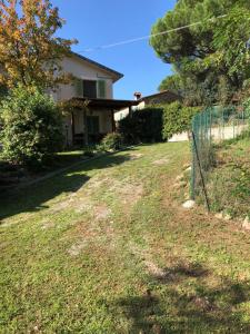 A garden outside Casa Costanza