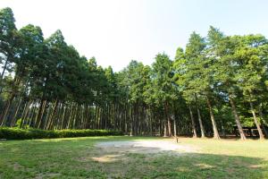 park z drzewami w tle w obiekcie Showa Forest Village w mieście Chiba