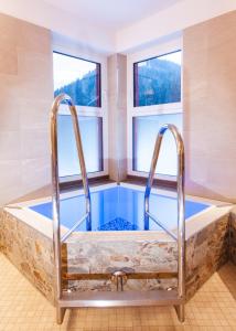 Bazén v ubytování Freinerhof & Wellness nebo v jeho okolí