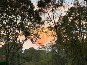 a sunset seen through the trees in a forest at Refugio Del Bosque Glamping in La Mesa