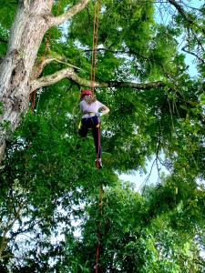 a woman hanging from a rope in a tree at Refugio Del Bosque Glamping in La Mesa