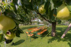 Zahrada ubytování Apart Central – Premium Mountain&Garden