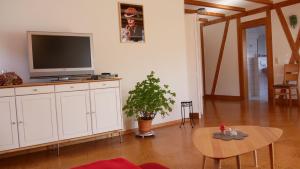 a living room with a tv and a table at Haus Johanna in Glottertal