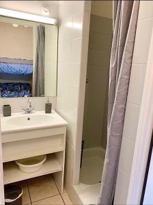 a bathroom with a sink and a shower at Le Prorel appartement au pied du télécabine in Briançon