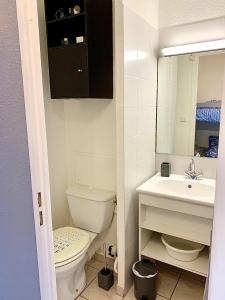 a bathroom with a toilet and a sink and a mirror at Le Prorel appartement au pied du télécabine in Briançon