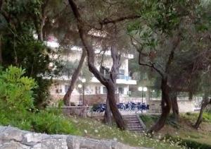 a group of trees in front of a building at Amfitriti Hotel & Studios in Lákka