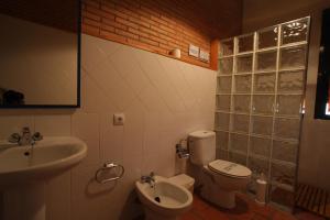 bagno con servizi igienici e lavandino di Casa Rural Apartamento "Isla del Zújar" a Castuera