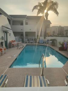 a large swimming pool with a palm tree in the background at Bahama Breeze #2 Sea Dancer Condos in South Padre Island