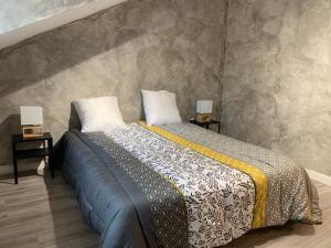 een slaapkamer met een groot bed met 2 nachtkastjes bij Rue de la banque centre ville Rodez in Rodez
