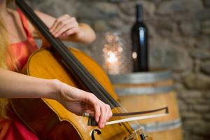 a woman playing a cello with a bottle of wine at Boutique & Business Hotel La Tureta in Bellinzona