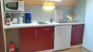 cocina con fregadero y microondas en APARTMENT CHALET -BOHINJ- Pokljuka- Triglav National Park, en Koprivnik v Bohinju
