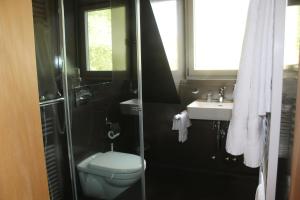 ein Bad mit einem WC und einem Waschbecken in der Unterkunft Ospizio San Gottardo in Airolo