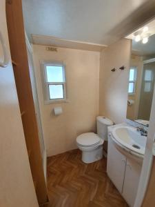 a bathroom with a toilet and a sink and a window at Bungalows Conca De Ter in Vilallonga de Ter