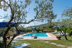 Masseria Santa Lucia في أغنون: مسبح في فيلا فيها شجرة +57 صورة