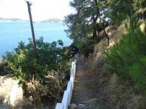 Foto dalla galleria di Plakes Suites a Città di Skiathos
