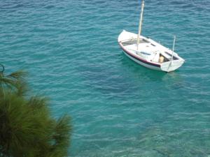 Foto dalla galleria di Plakes Suites a Città di Skiathos