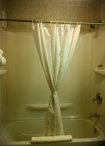 a shower curtain in a bathroom with a tub at Americas Best Value Inn - Goldsboro in Goldsboro