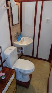 uma casa de banho com um WC e um lavatório em Nevšední ubytování jako u babičky ve stylu 60.let em Budkovce