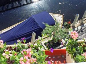 un montón de macetas y flores en una mesa en 7 person holiday home in STR MSTAD en Strömstad