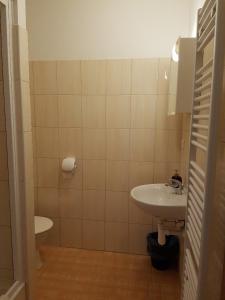 Koupelna v ubytování Penzion Na Prachárně
