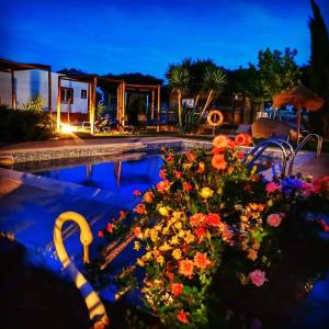 a swimming pool with a bunch of flowers next to it at Monte Santa Catarina in Monsaraz