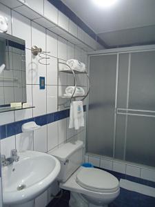Ванная комната в Hotel Panamericano