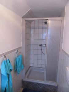 a shower with a glass door in a bathroom at Haus Hasenmüller in Schmiedefeld am Rennsteig