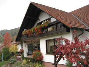 ein weißes Haus mit Blumenkästen an den Fenstern in der Unterkunft Ferienwohnungen Haus Albert in Großheubach
