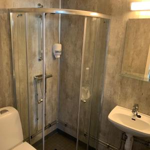 a bathroom with a shower and a toilet and a sink at Hovden Fjellstoge in Hovden