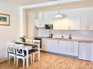 Kuchyň nebo kuchyňský kout v ubytování Apartmany a Ubytovani Mlynice Litovel