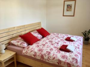 ein Schlafzimmer mit einem Bett mit roten Kissen darauf in der Unterkunft Apartmany a Ubytovani Mlynice Litovel in Litovel