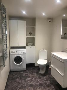 un bagno con lavatrice e WC di Botanikerns hus a Löderup